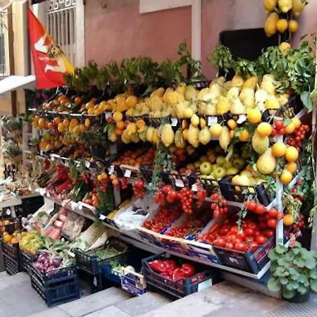 Panoramic Apartament *